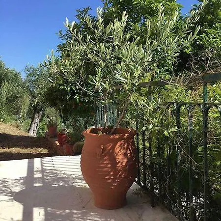 Artemis Corfu Apartment Pelekas